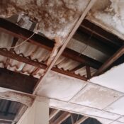 Rehabilitación de la escuela de Darsalam en Guinea Bissau